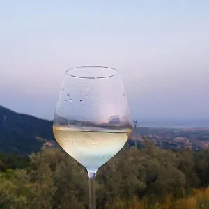 Vinomare Fosdinovo